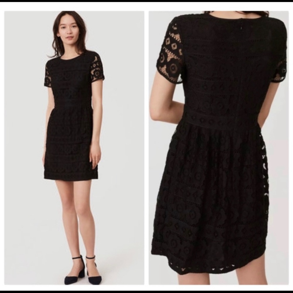 Loft Lace Dress
